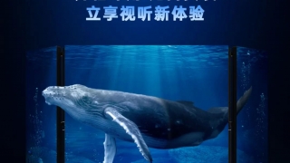 一图读懂利亚德135