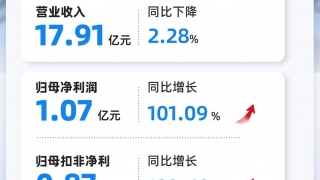 一图读懂 利亚德2025年三季度报告